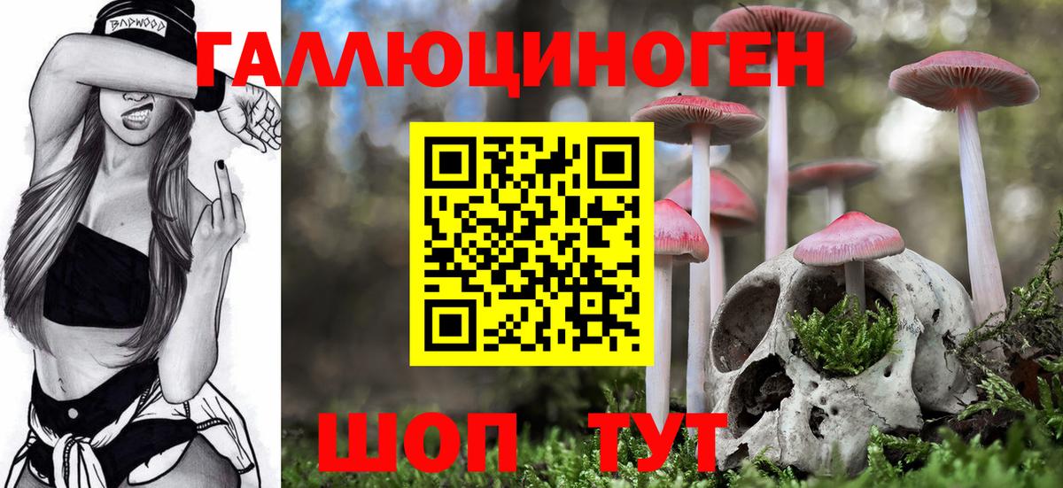 Галлюциногенные грибы прущие грибы Фрязино